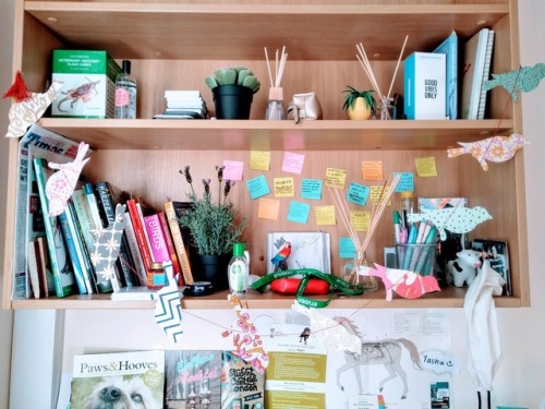 studywithyashu
