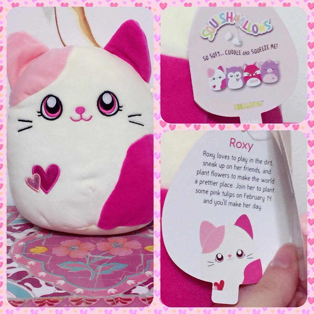 roxy squishmallow