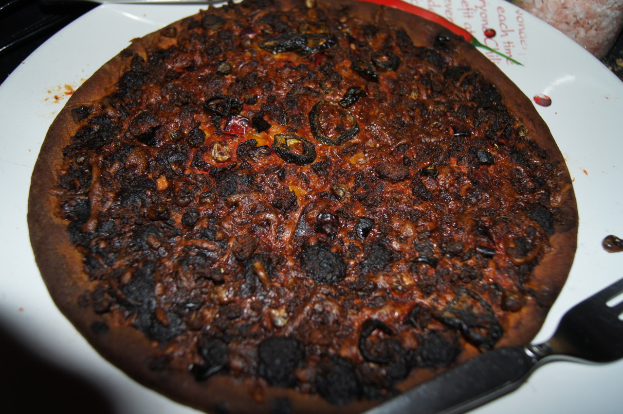 чтобы пицца не подгорела в духовке фото 57