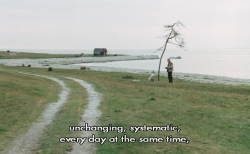 exhaustedscreen:The Sacrifice (Andrei Tarkovsky, 1986).