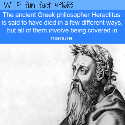 The ancient Greek philosopher Heraclitus is said to have died in a few different ways, but all of them involve being covered in manure. 
