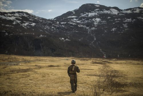 Norwegian Coastal Ranger Commandos (KJK) and U.S. Marines with...