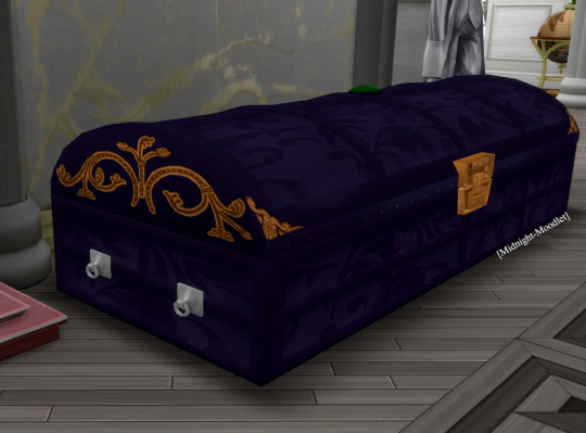 coffin side view