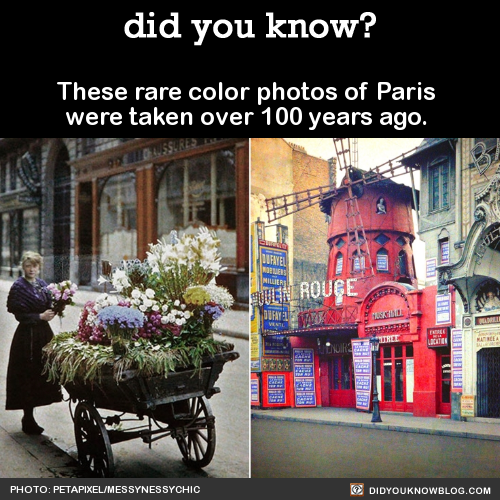 breefolk-hates-staff:rhube:did-you-kno:These rare color...