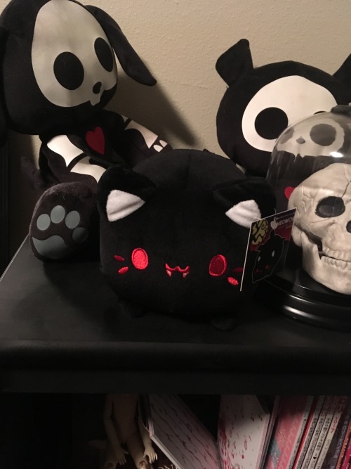 halloween meowchi