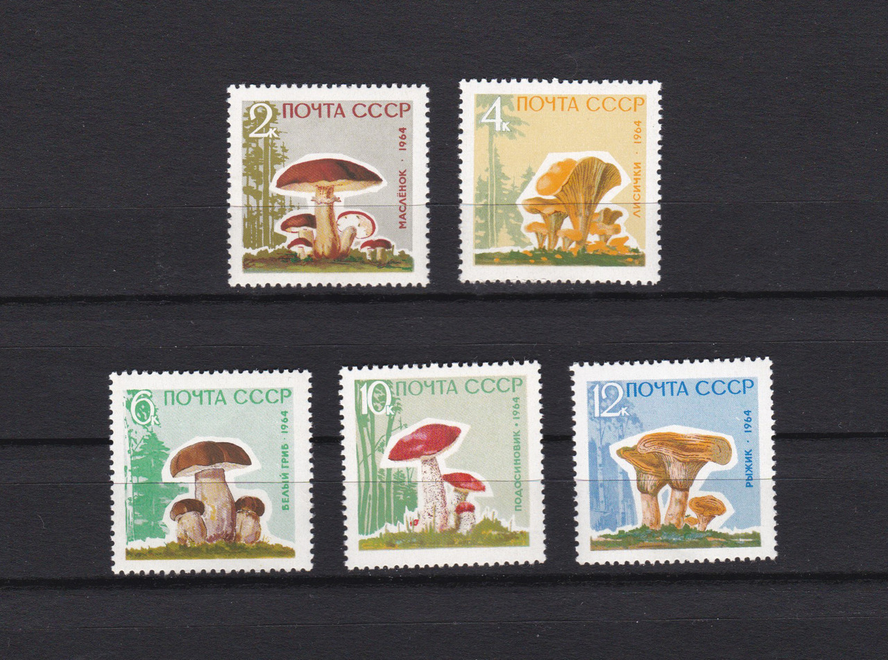 Vintage stamps - Edible mushrooms of Soviet Union (1964)