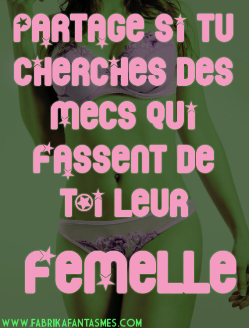 chiennearebeu:salopearebeu:domestique5775:lopette16:brut...