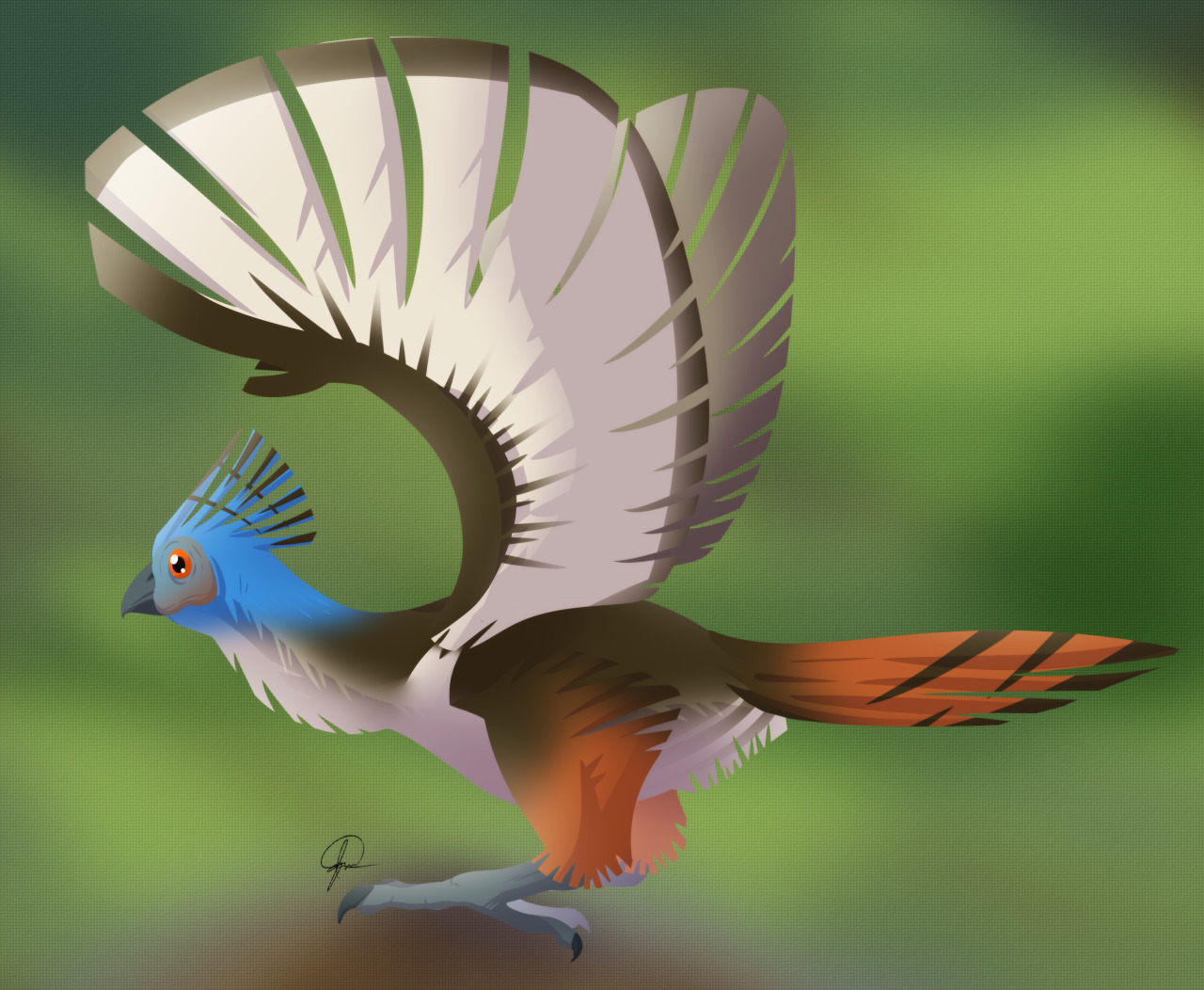 hoatzin on Tumblr