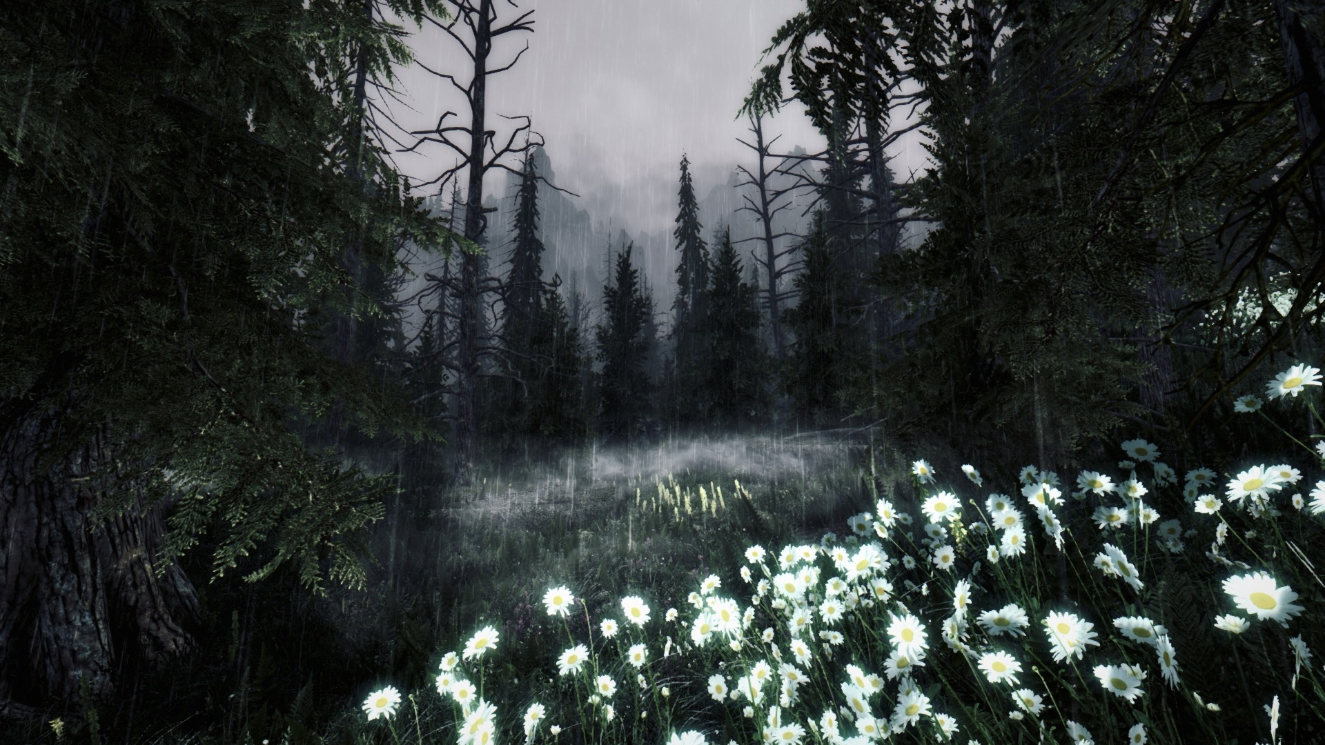 skyrim enb edge or supersampling