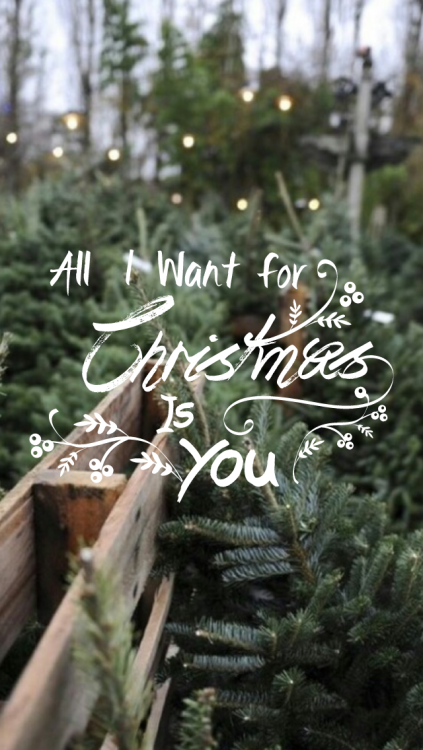 Christmas Quotes | Tumblr