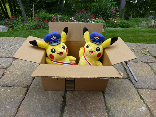 special delivery pikachu plush