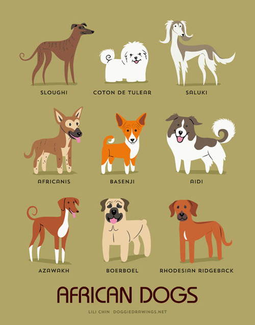 Dog Breeds And Their Origin Dog Breeds And Their Origin