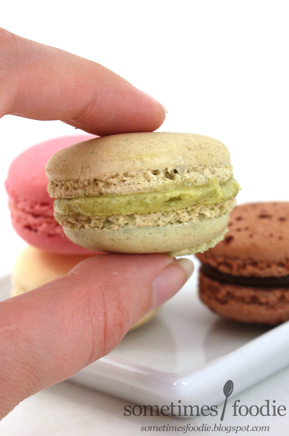 macarons berlin macarons berlin