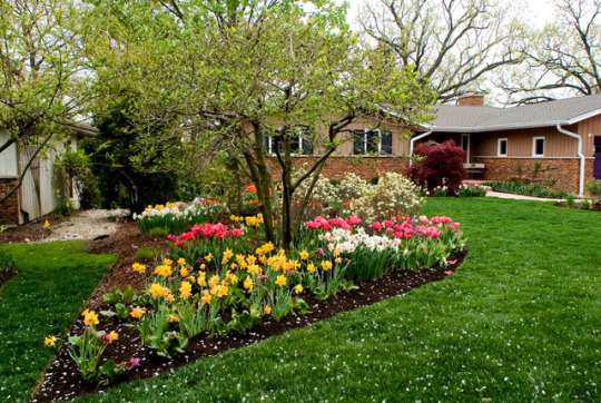 4 Tips To Help You Get That Perfect Landscape Design For Your House Property Architerrainc Over Blog Com