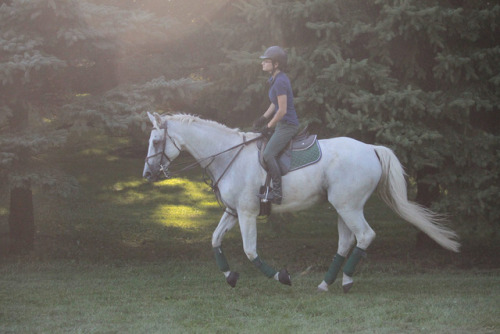 kremeroyale:One of my favorite late summer evening rides