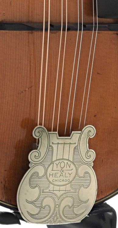 frettedchordophones:A top-of-the-line Lyon & Healy model...