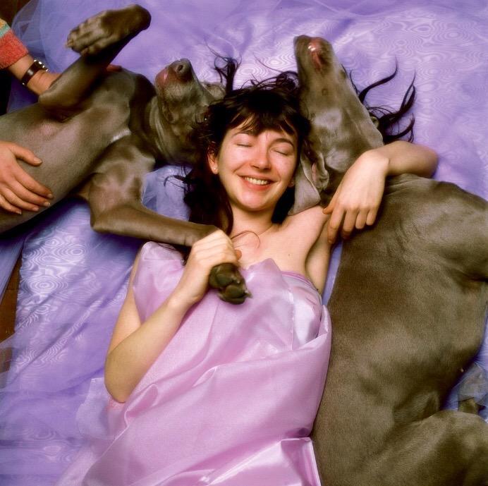 the hounds of love