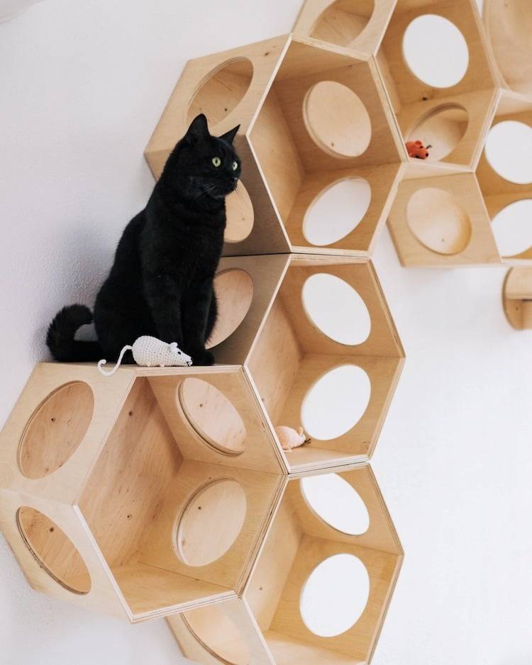 my modern met cat furniture