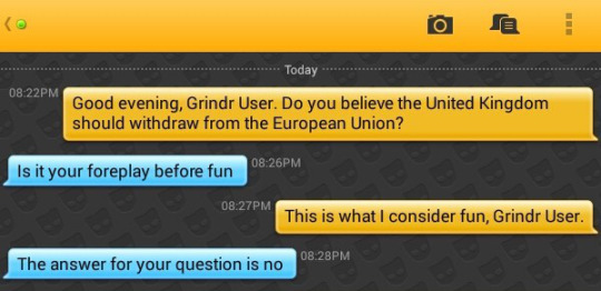 Me: Good evening, Grindr User. Do you believe the United Kingdom should withdraw from the European Union?
Grindr User: Is it your foreplay before fun
Me: This is what I consider fun, Grindr User.
Grindr User: The answer for your question is no