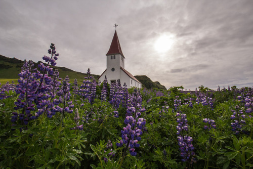 heavenskiriot:Vík í Mýrdal Church | IcelandTumblr |...