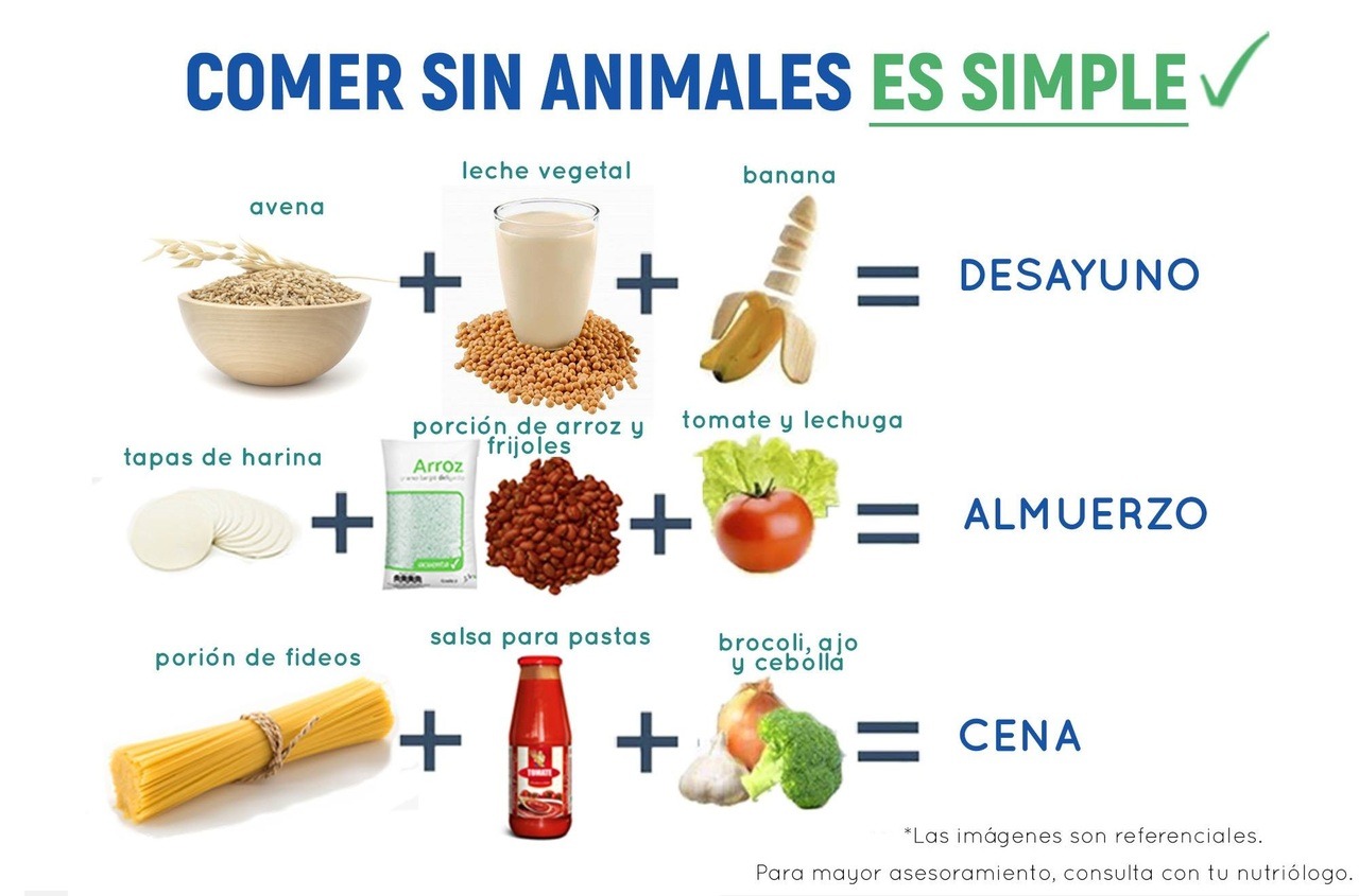Dieta simple y saludable