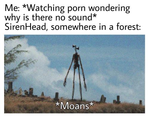 funniestpicever