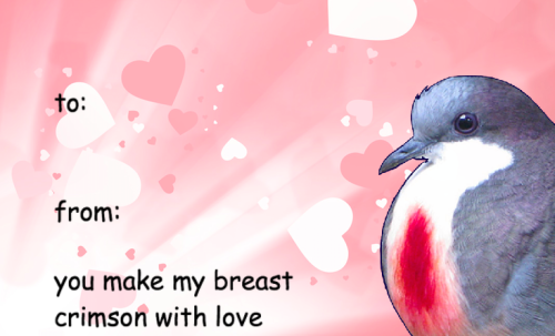 hatoful boyfriend font