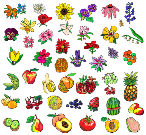 emdnd:flowers and fruit