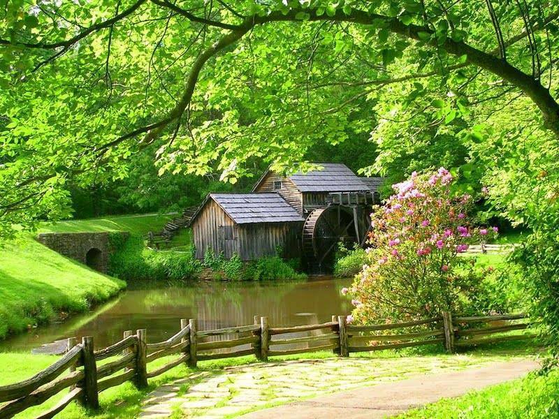 It's a beautiful world! — ‿↗⁀simply-beautiful-world Peaceful Countryside