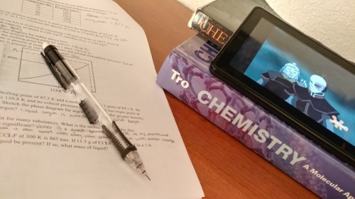 haleighstudies