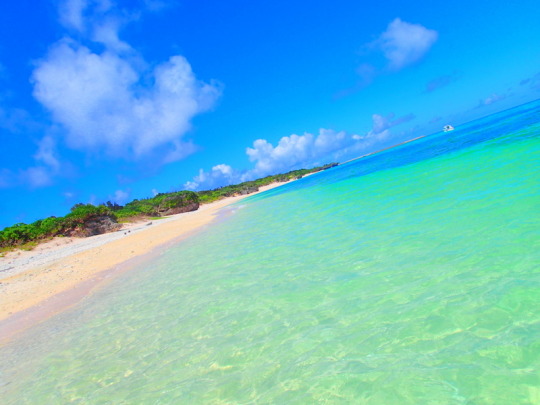 夏休み・お盆休みに、家族や友人と沖縄旅行へGO！石垣島・西表島ツアーランキング１位のケンガイドが人気プランをご紹介します。マングローブSUP滝巡り＆カヌーでジャングル探検キャニオニングなど話題のツアーが盛りだくさん。アドベンチャーボートで行くシュノーケルや星砂の浜シュノーケリングで西表島を遊びつくそう！