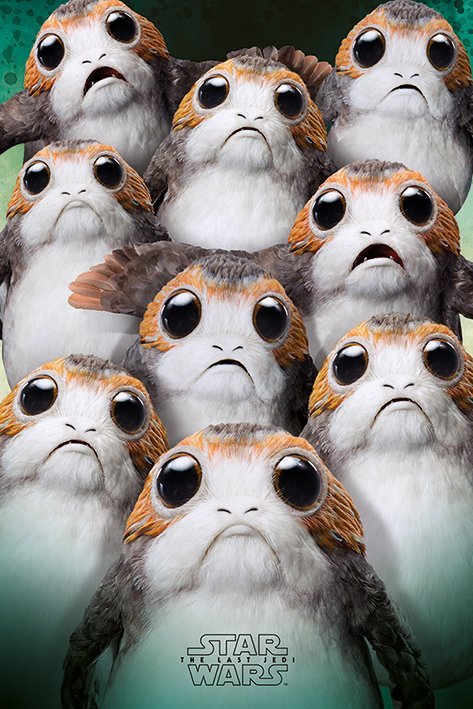 porg on board