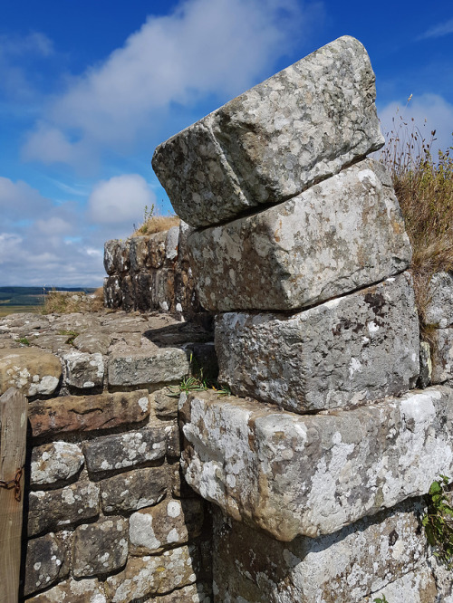 thesilicontribesman:Milecastle 37, Housesteads Roman Fort,...