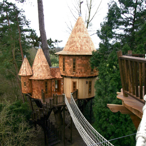 archiemcphee:This awesome arboreal dwelling is the Living the...