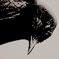 [Image: tumblr_pigxv7AL0n1wwkc82o7_250.png]