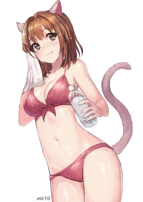 Sexy catgirls and stuff