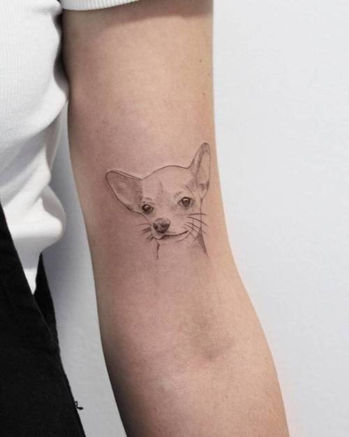 Microrealistic Chihuahua portrait tattoo located on
