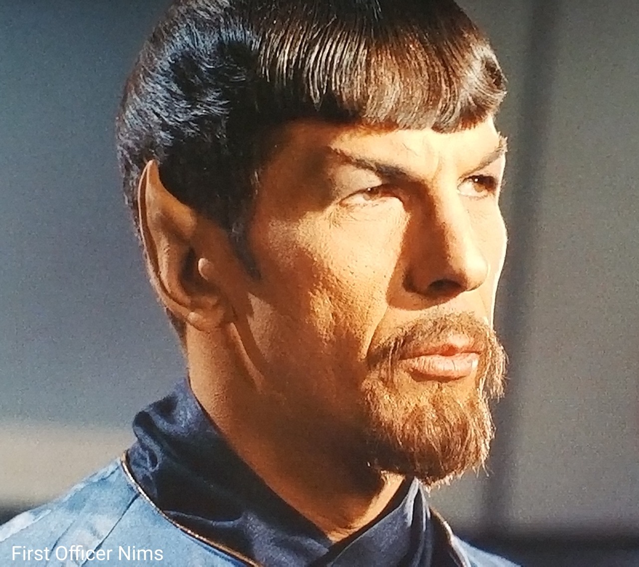 spock beard star trek