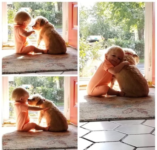 veryverycuteanimals:A boy and his dog (Source:...