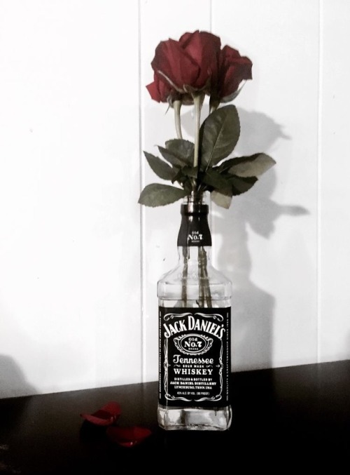 roses in jack daniels | Tumblr