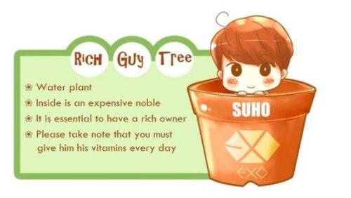 cookiezmonstyr:Collect All 12 of the Adorable EXO Plants!...