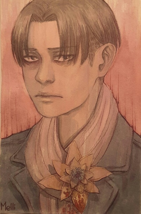 bluecrownedbird:Levi ~ watercolors ♡(Melli)