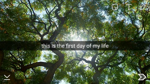 just-hold-out-for-tomorrow:-first day of my life by bright...