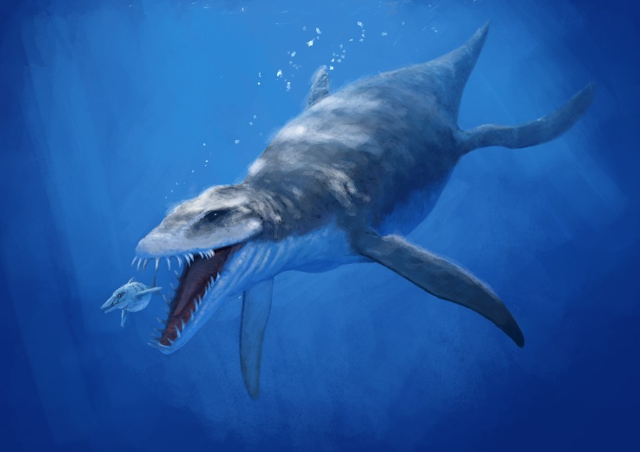 water dinosaur plesiosaur