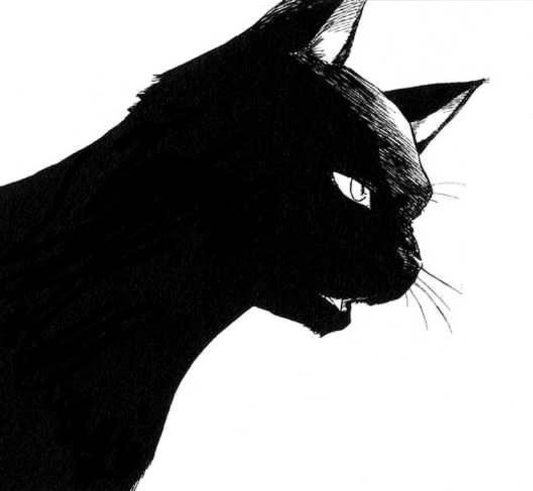 Black Kitty Cats Matter - iggy-kyoka: Cat Yoruichi.