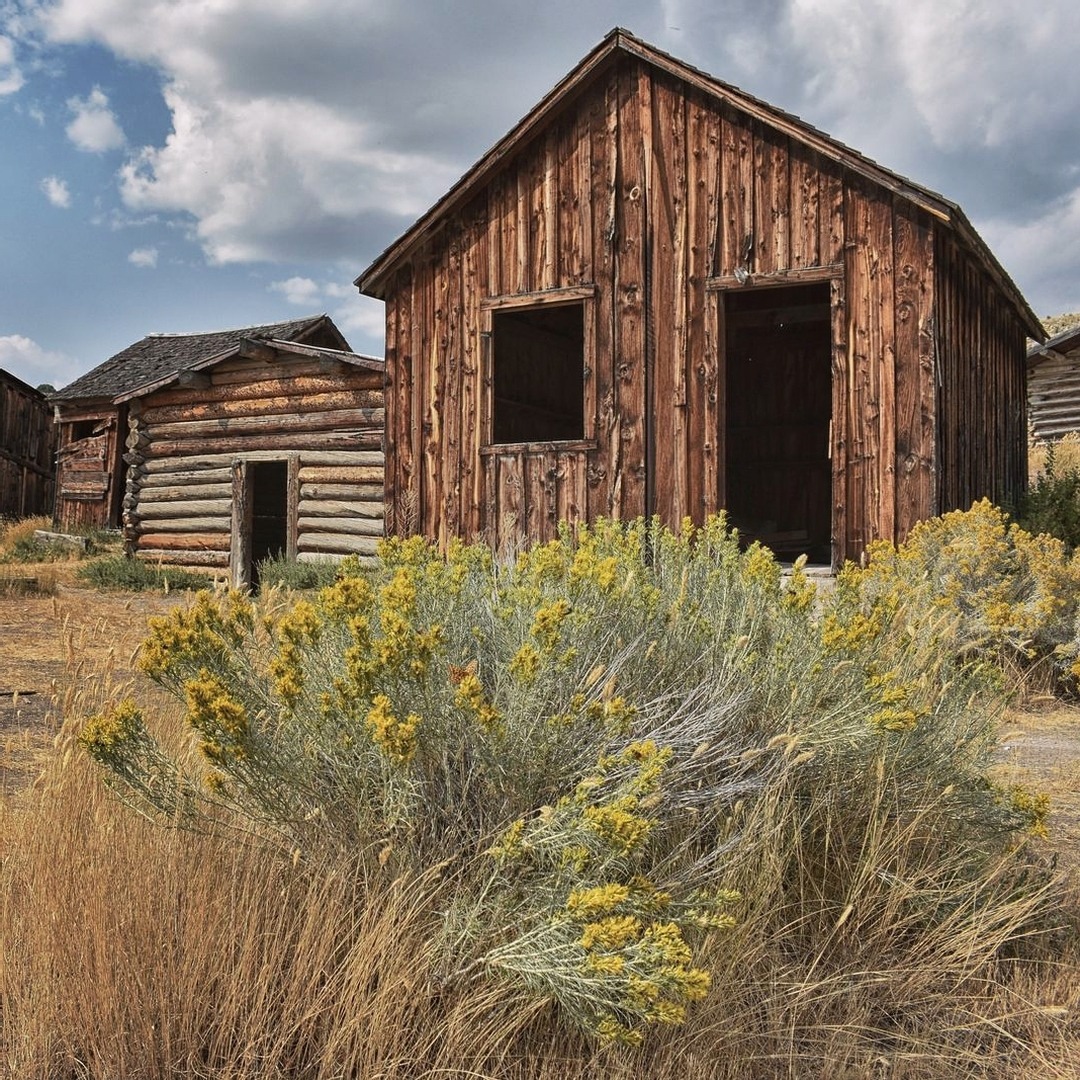 Alexandria Shepard — #montana #abandonedplaces #abandonedhouse...