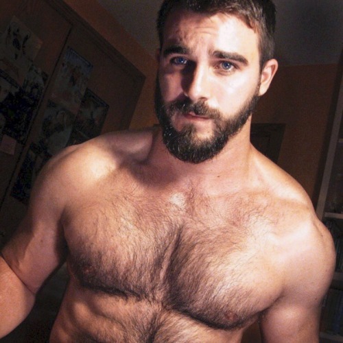 aussieguyre-blogging:WOOF!