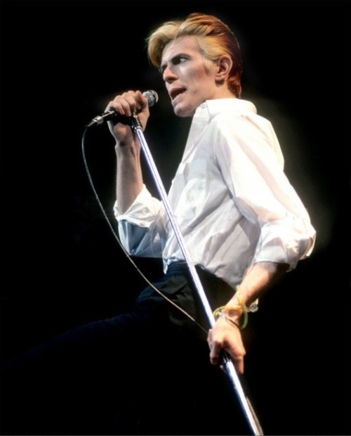 80s-bowie:glitterypin:The 10 most beautiful photos of David...