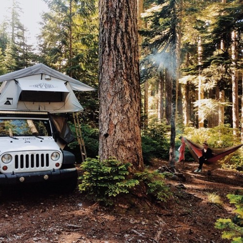 bradleycastaneda:#letscamp