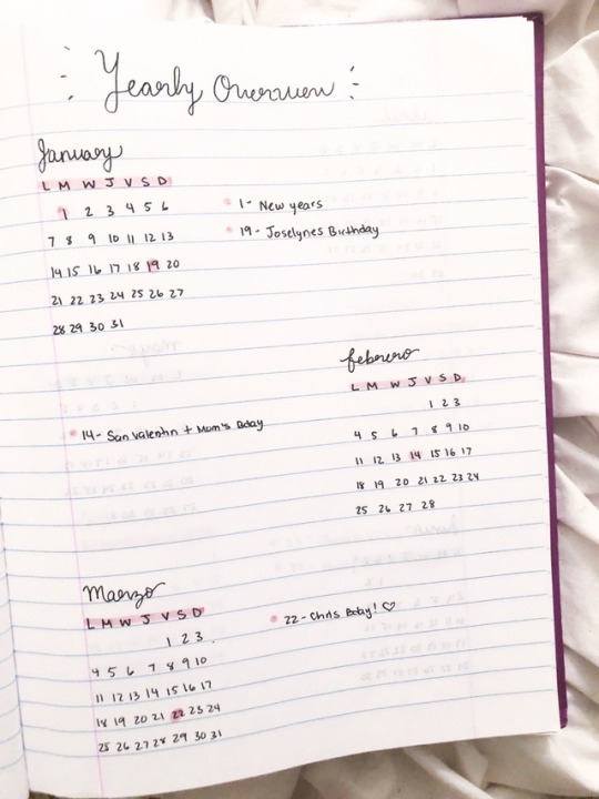 printable web site planner Tumblr picture regarding Tumblr Planner known as printable website planner Tumblr